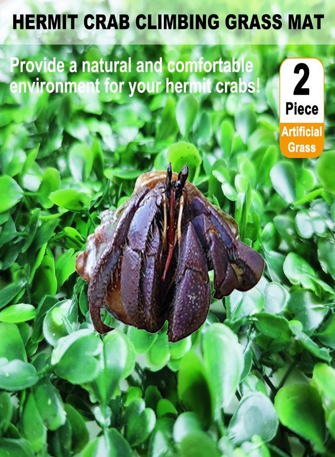 Anranmm 2 PCS Hermit Crab Climbing Toys Faux Grass Mat 10 x 10 Inch Fake Turf Hermit Crab Climbing Wall Square Plastic Aquarium Plants Lawn HermitCrabs Supplies Small Animals Cage Accessories - Image 2